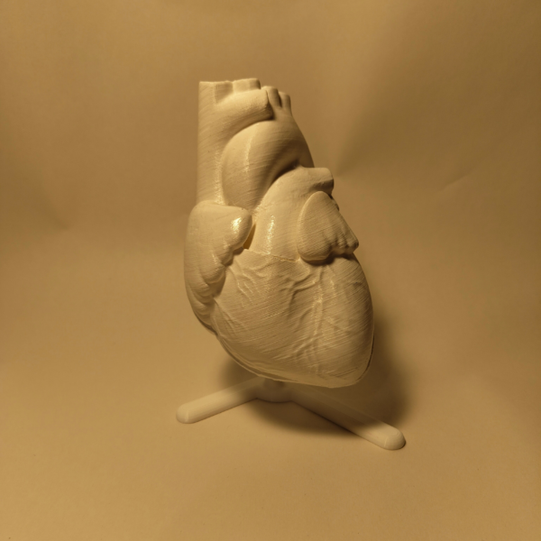 El Corazón