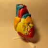Modelo anatómica detallado de un corazón humano con venas y arterias resaltadas en colores, posado sobre una base blanca.