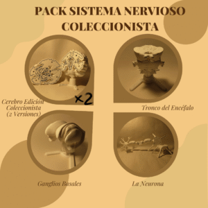 Pack del Sistema Nervioso