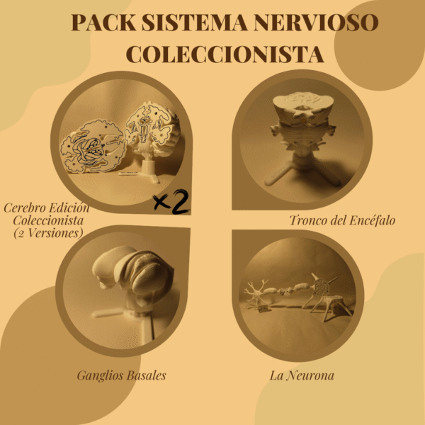 Pack del Sistema Nervioso