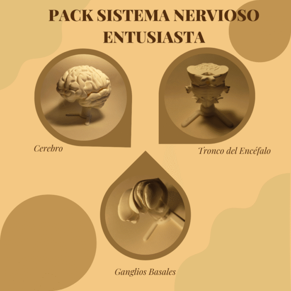 Pack del Sistema Nervioso