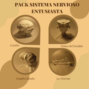 Pack del Sistema Nervioso