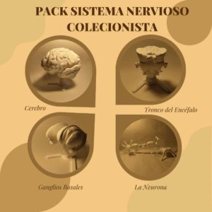 Pack del Sistema Nervioso