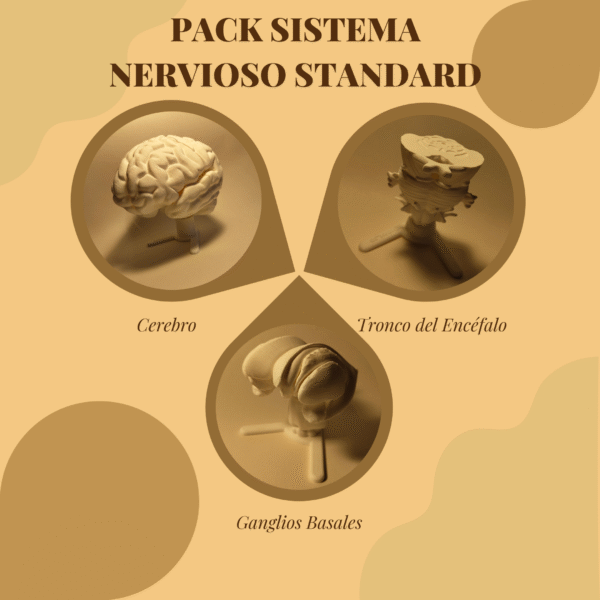 Pack del Sistema Nervioso