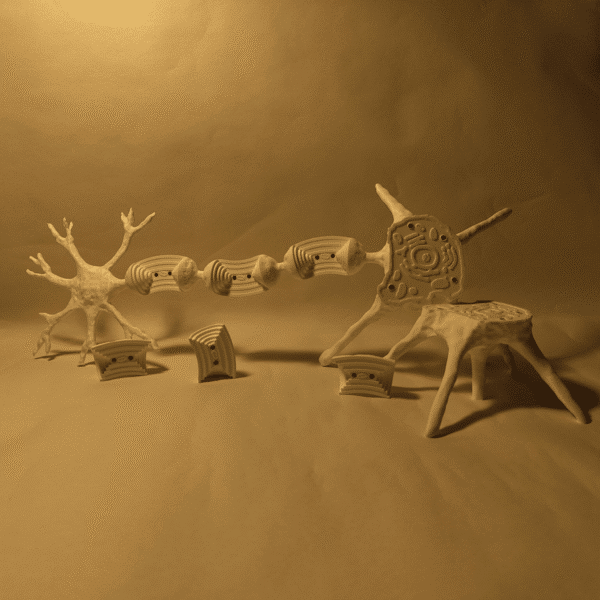 Primer plano de las dendritas de una maqueta de neurona, simbolizando los puntos de conexión sináptica y recepción de señales.