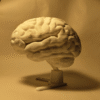 El Cerebro Edición Coleccionista
