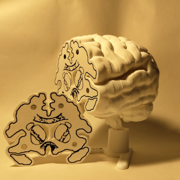 El Cerebro Edición Coleccionista