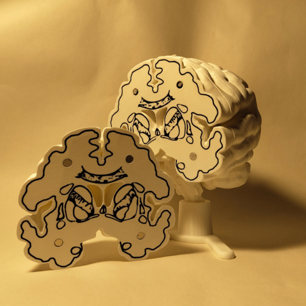 El Cerebro Edición Coleccionista
