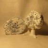 El Cerebro Edición Coleccionista