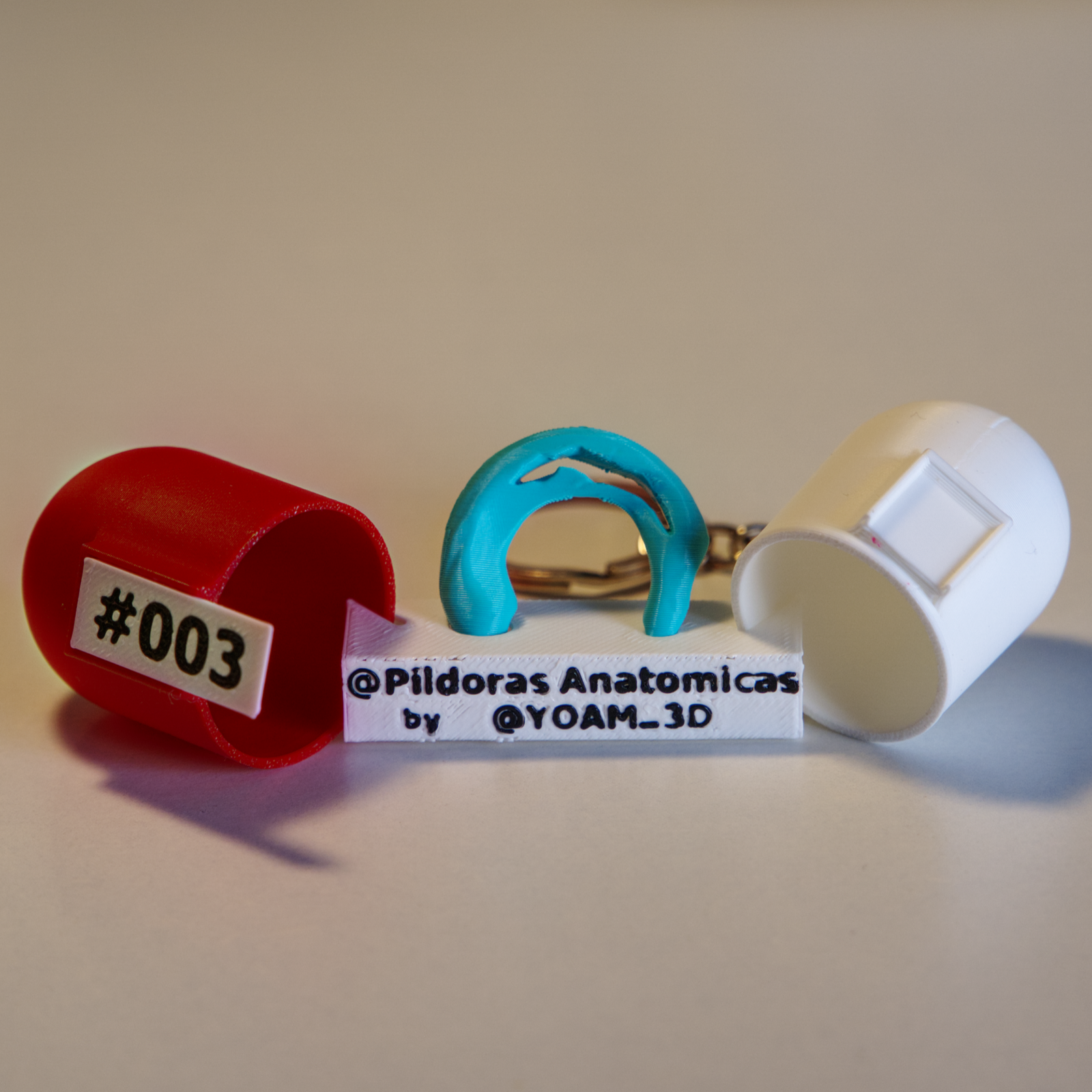 Muñeco anatomico de la articulación de la rodilla sobre base blanca, mostrando ligamentos y huesos para estudiantes.