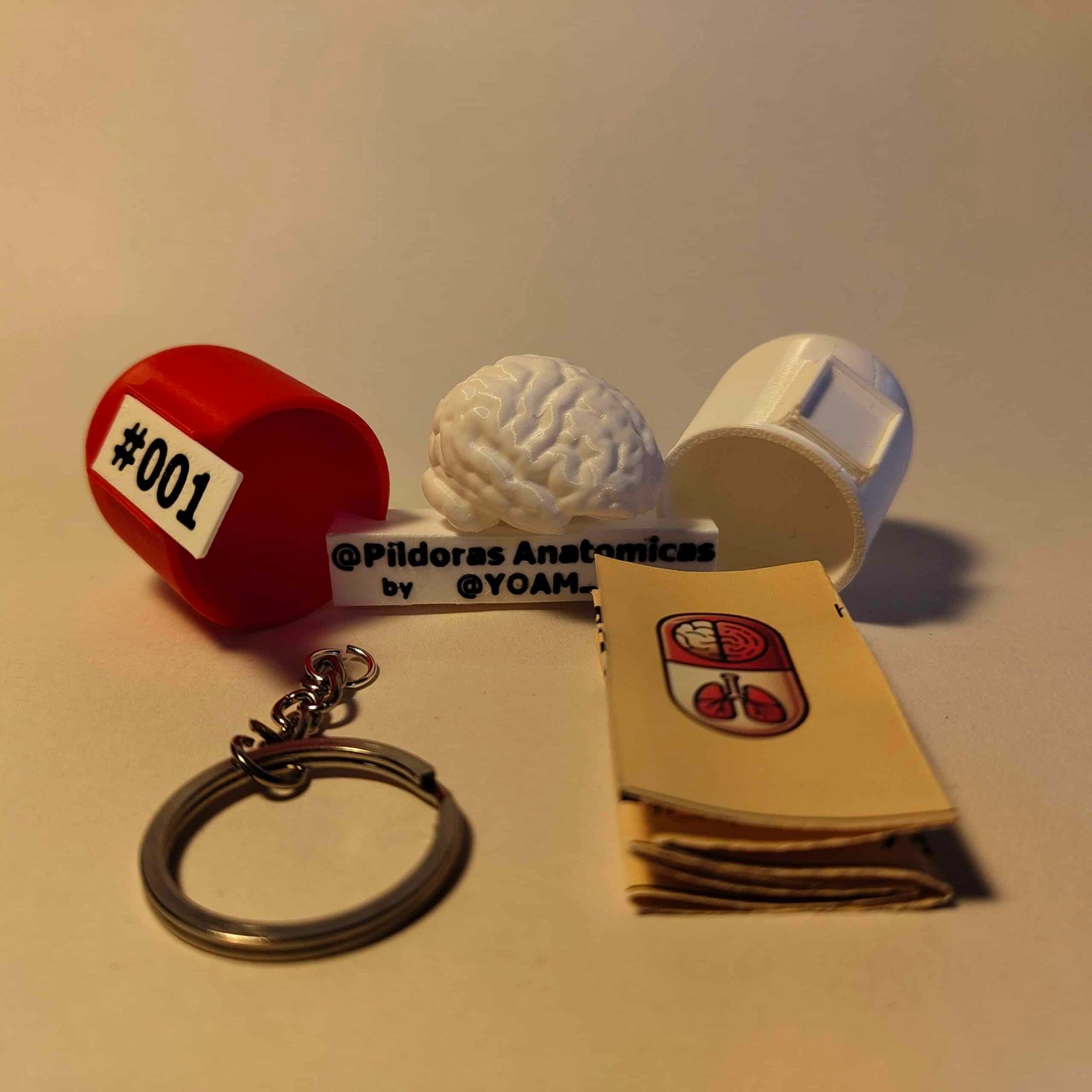 Kit de regalo abierto que muestra una cápsula medicinal roja conteniendo un llavero de maqueta cerebro miniatura.