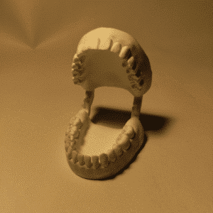 Fotografía de primer plano de un muñeco anatómico de la mandíbula, destacando la textura del hueso y la forma de los dientes bajo una iluminación cálida.