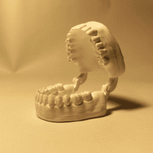 Modelo anatómico blanco del maxilar y la mandíbula con dientes detallados, sobre una superficie clara, utilizado para la enseñanza de la anatomía cuerpo humano.