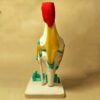Vista trasera de un modelo anatómico de rodilla que muestra la transición del músculo (rojo) al tendón (amarillo) y la estructura ósea, ideal para estudiar la anatomía cuerpo humano.