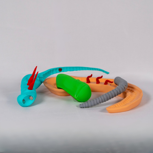 Maqueta cerebro que facilita la comprensión espacial de la neurulación y desarrollo embrionario.
