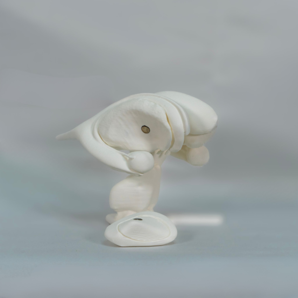 Maqueta blanca manipulativa creada para comprender las funciones ganglios basales y los ganglios basales funcion.