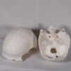 Modelo en blanco diseñado para el estudio práctico de la anatomia del craneo, las partes craneo y cada parte del craneo.