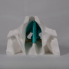 Modelo anatomico nariz personalizable que permite al estudiante identificar y colorear las partes de la nariz.