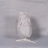 Vista de nuestras maquetas corazon y maquetas del corazon fabricadas en material personalizable
