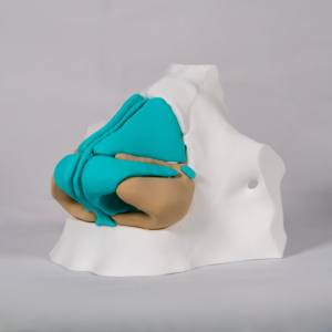 maqueta-de-la-nariz-anatomia-blanco Maqueta de la nariz en blanco diseñada para pintar y estudiar de forma práctica la anatomia de la nariz.