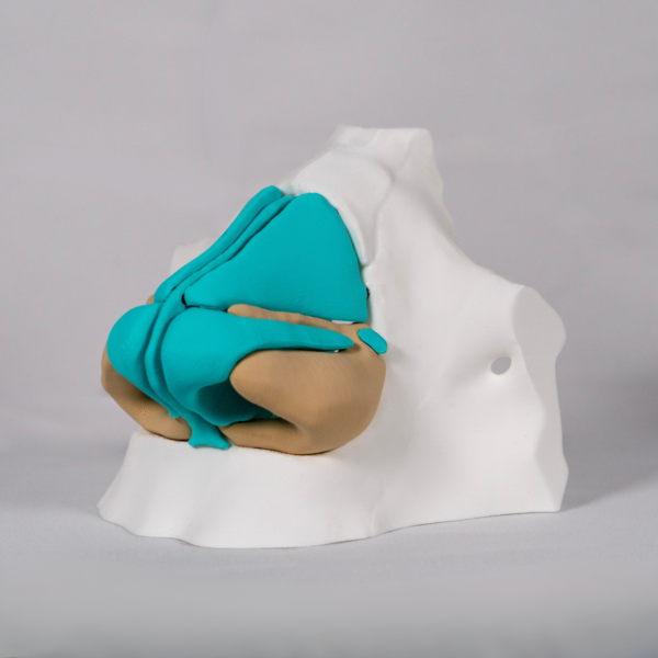Maqueta de la nariz en blanco diseñada para pintar y estudiar de forma práctica la anatomia de la nariz.
