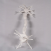 Maqueta neurona personalizable que actúa como traductor neuronal físico, superando las limitaciones del tradicional neurona dibujo.