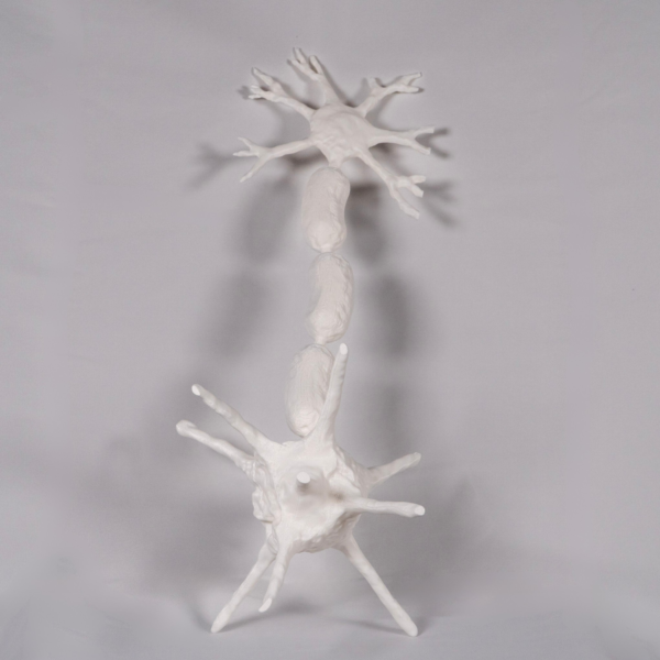 Maqueta neurona personalizable que actúa como traductor neuronal físico, superando las limitaciones del tradicional neurona dibujo.