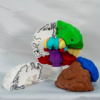 Vista detallada de la maqueta del cerebro en su edición coleccionista a color.