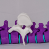 maqueta-vertebra-con-escoliosis-blanco Representación en 3D de una vértebra con escoliosis en blanco para el aprendizaje activo de la anatomía patológica de la columna.