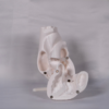 Maqueta del corazon en blanco para pintar y estudiar la anatomia externa corazon