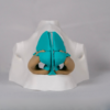 Maqueta impresa en material blanco ideal para marcar y memorizar los huesos de la nariz anatomia.