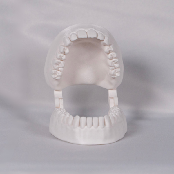 Tipodonto a color impreso en 3D para el aprendizaje activo, optimizado para prácticas tipo tipodonto frasaco.