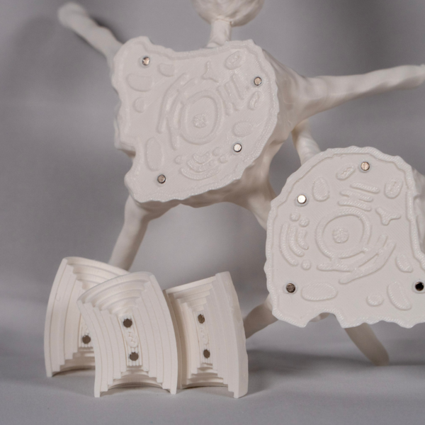 Maqueta de neurona en blanco diseñada para pintar y aprender de forma práctica las partes de la neurona y cada parte de neurona.
