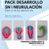 Pack Modelos Desarrollo SN: La Neurulación