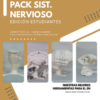 Conjunto de cerebros maqueta enfocado en mostrar los ganglios basales del cerebro y los basal ganglia para facilitar el aprendizaje espacial.