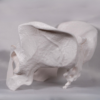 rotura-de-pelvis-fractura-de-pelvis-estudio Modelo anatómico para explorar la relación entre caderas y pelvis y la pelvis anatomia general.